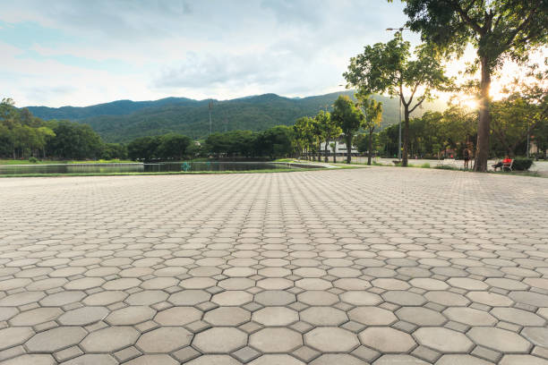 Best Decorative Driveway Pavers  in Windcrest, TX