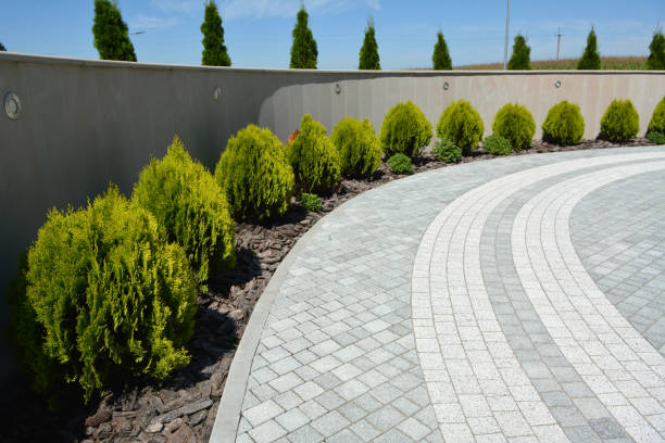 Best Brick Driveway Pavers  in Windcrest, TX