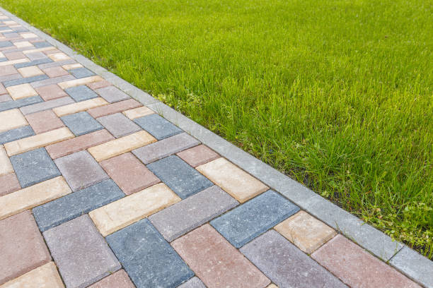 Best Driveway Paving Contractor  in Windcrest, TX